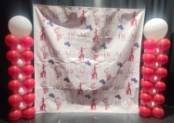 mixable-moments-bcac-05