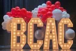 mixable-moments-bcac-lights-01