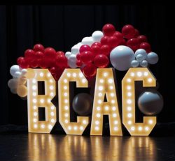 mixable-moments-bcac-lights-02